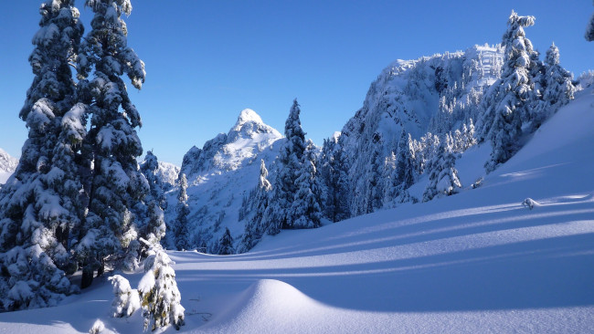Обои картинки фото природа, зима, канада, снег, ели, деревья, горы, норт-шор, британская, колумбия, сугробы, ванкувер