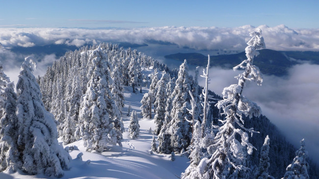 Обои картинки фото природа, зима, облака, деревья, лес, панорама, пролив, хау, снег, британская, колумбия, ванкувер, горы, норт-шор, канада
