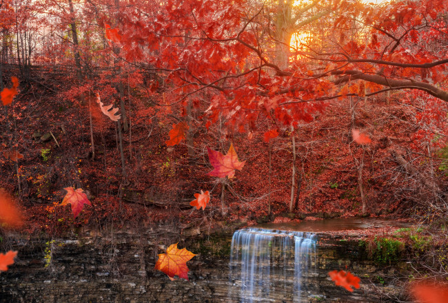 Обои картинки фото природа, водопады, листья, осень, водопад, листопад