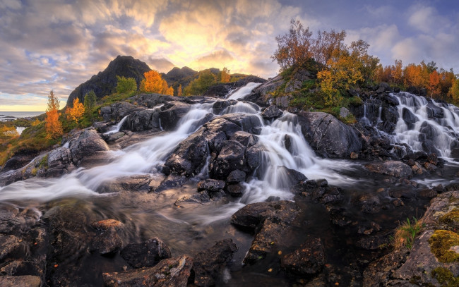 Обои картинки фото природа, водопады, кусты, осень, камни, водопад