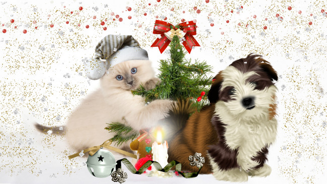 Обои картинки фото праздничные, - разное , новый год, дружба, собака, кот