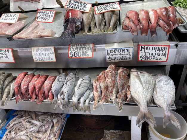 Обои картинки фото еда, рыба,  морепродукты,  суши,  роллы, свежая, ассорти