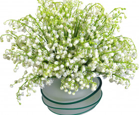 Картинка цветы ландыши весна ваза