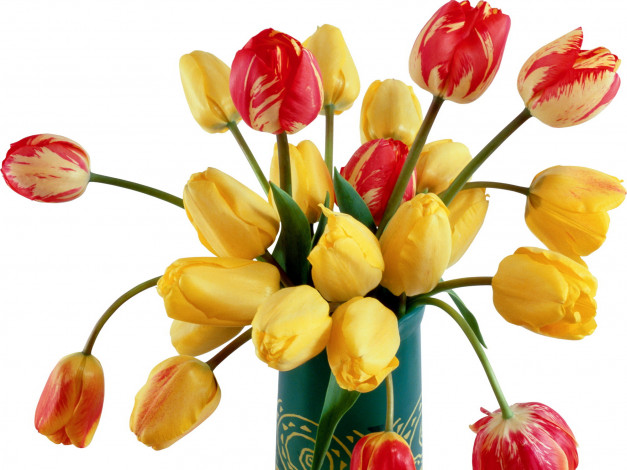 Обои картинки фото цветы, тюльпаны, много, ваза