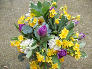 Картинка цветы букеты композиции букет тюльпаны нарцисы