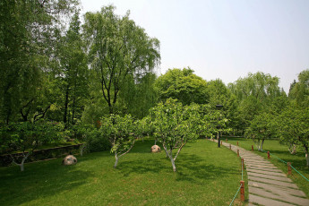 Картинка природа парк ландшафтный ханчжоу