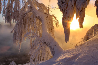 Картинка природа зима рассвет солнце снег
