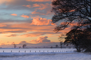 Картинка природа зима облака деревья пейзаж снег