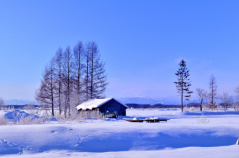 Картинка природа зима поле дом деревья снег