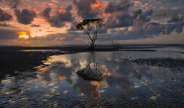 Картинка sunset природа восходы закаты дерево тучи закат вода отражение