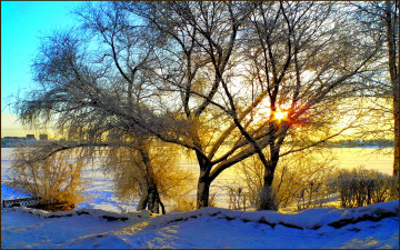 Картинка winter morning природа зима утро поле деревья солнце