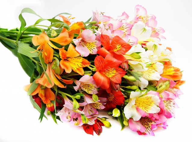 Обои картинки фото цветы, альстромерия, лилии, букет