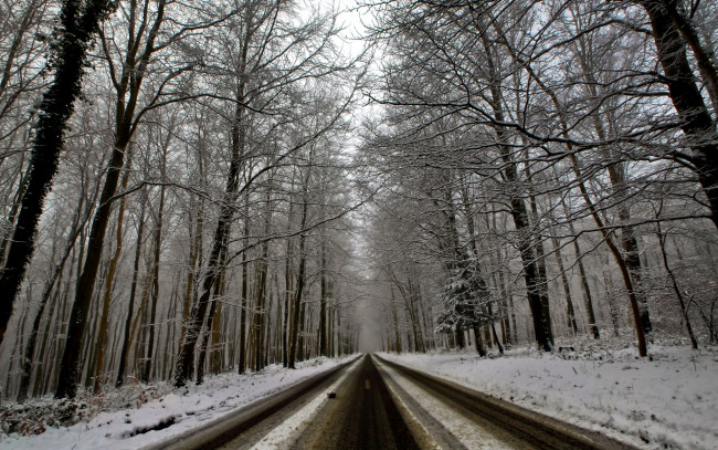 Обои картинки фото природа, дороги, лес, дорога, зима