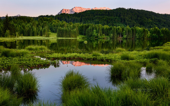Обои картинки фото природа, реки, озера, трава, озеро, горы, лес, зелень, michael, breitung, photography