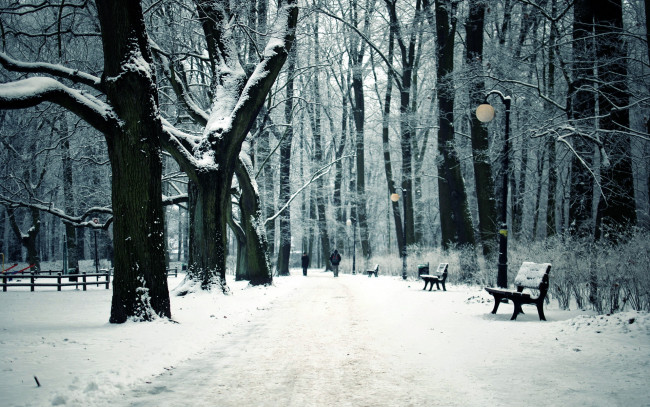 Обои картинки фото природа, зима, лавки, дорожки, деревья, снег, парк
