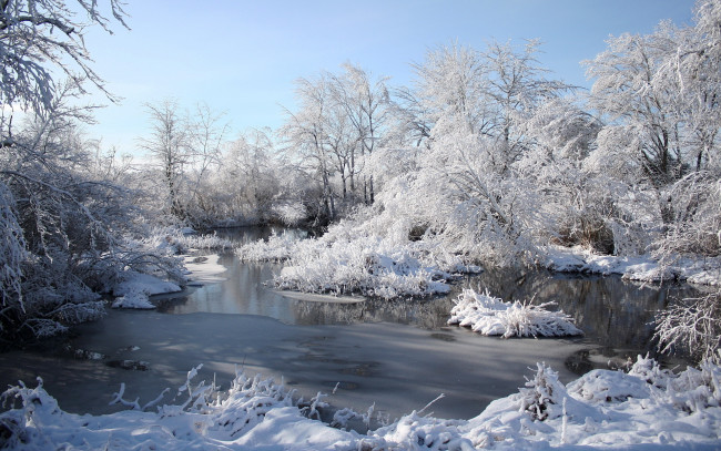 Обои картинки фото природа, зима, река, кусты, пейзаж