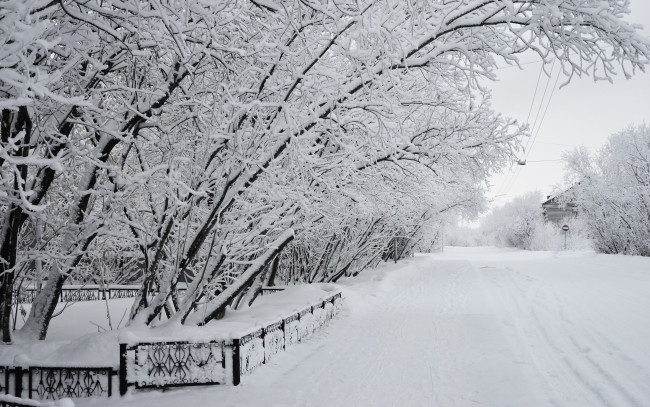 Обои картинки фото природа, зима, забор, снег