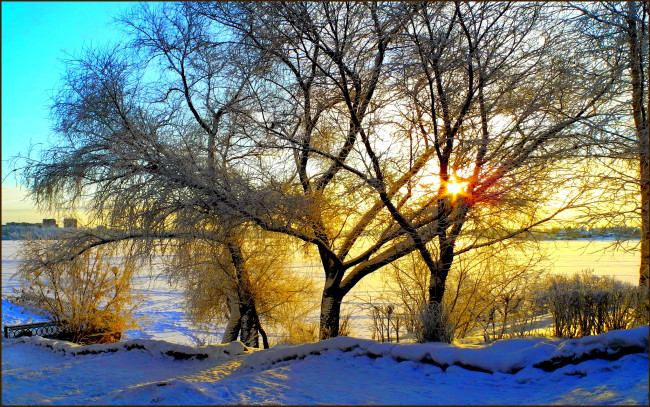 Обои картинки фото winter, morning, природа, зима, утро, поле, деревья, солнце