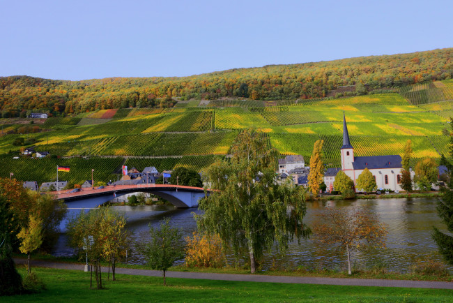 Обои картинки фото германия, писпорт, города, пейзажи, река, дома, мост, piesport, germany