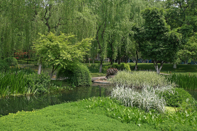 Обои картинки фото природа, парк, ханчжоу, ландшафтный