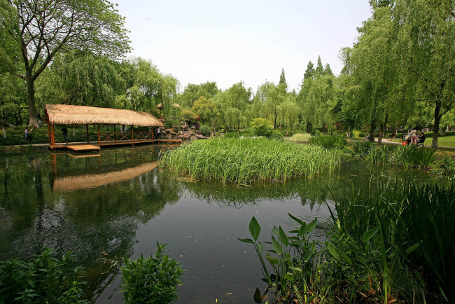 Обои картинки фото природа, парк, ландшафтный, ханчжоу
