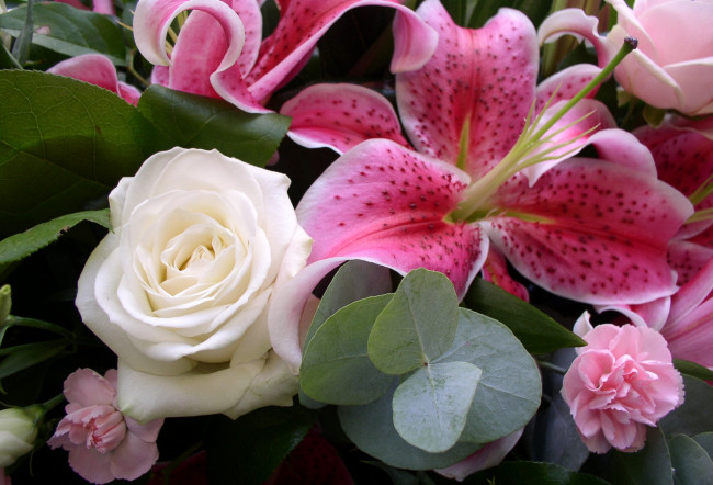 Обои картинки фото цветы, разные, вместе, лилии, гвоздики, розы