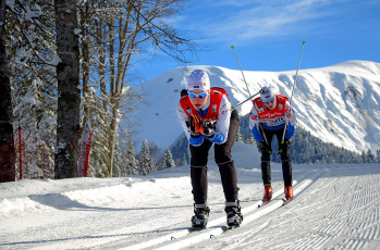 обоя спорт, лыжный спорт, трасса, деревья, лыжи, снег, гора, спортсмены, лыжня, лыжники