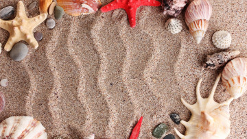Картинка разное ракушки +кораллы +декоративные+и+spa-камни морские звезды лето пляж камни песок