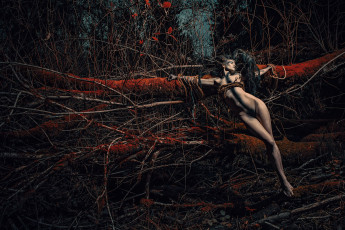Картинка фэнтези фотоарт девушка лес связанная