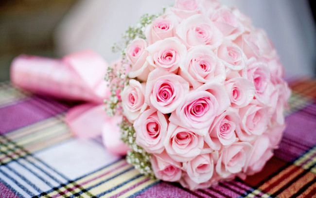 Обои картинки фото цветы, розы, розовые, букет
