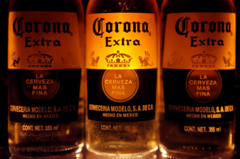 обоя corona, бренды, бренды напитков , разное