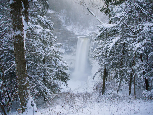 Обои картинки фото природа, водопады, лес, зима, велосипед