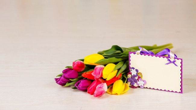 Обои картинки фото цветы, тюльпаны, бутоны, открытка