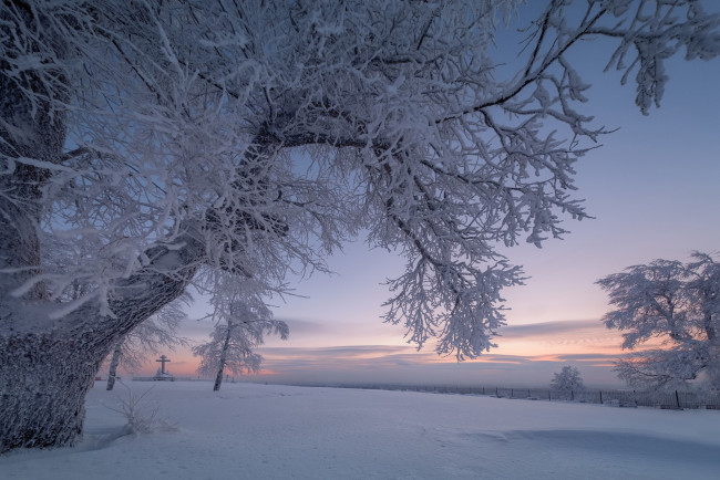 Обои картинки фото природа, зима, белая, гора, ветки, деревья, снег, рассвет, россия, утро, крест, пермский, край