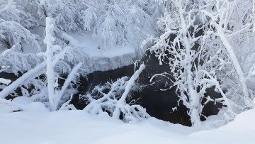 Картинка речка+зимой природа зима река иней снег