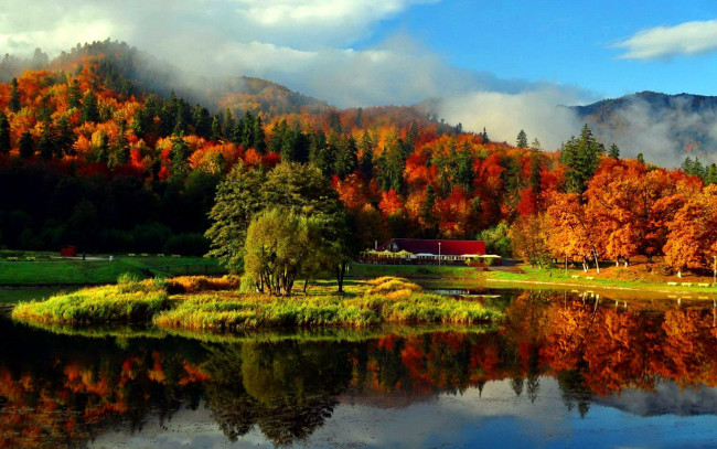 Обои картинки фото природа, реки, озера, туман, лес, осень, деревья