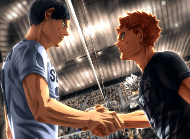 Обои картинки фото аниме, haikyuu, волейбол