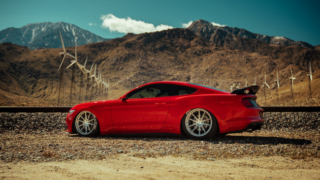 Обои картинки фото автомобили, mustang, ford