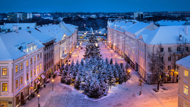Обои картинки фото города, - улицы,  площади,  набережные, площадь, рождество, елки, тарту, эстония