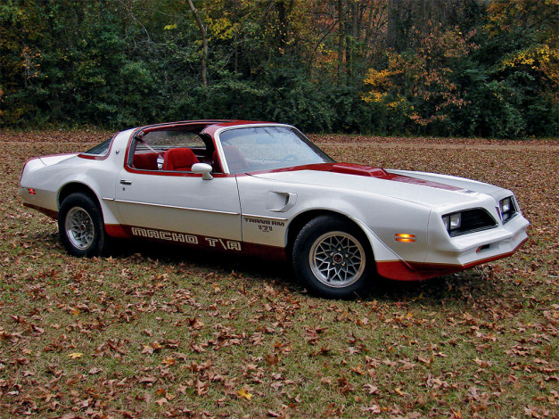 Обои картинки фото 1978, macho, trans, am, автомобили, pontiac