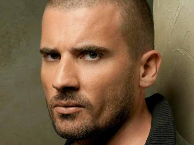 Обои картинки фото dominic, purcell, мужчины