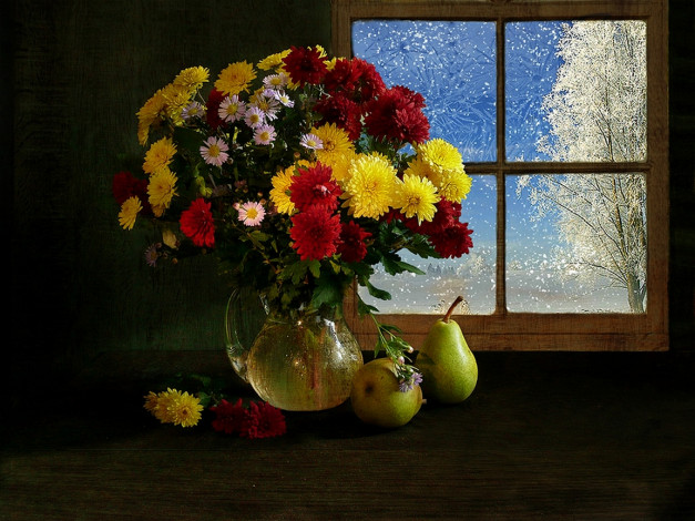 Обои картинки фото elena, lovelysweet, за, окном, зима, цветы, хризантемы