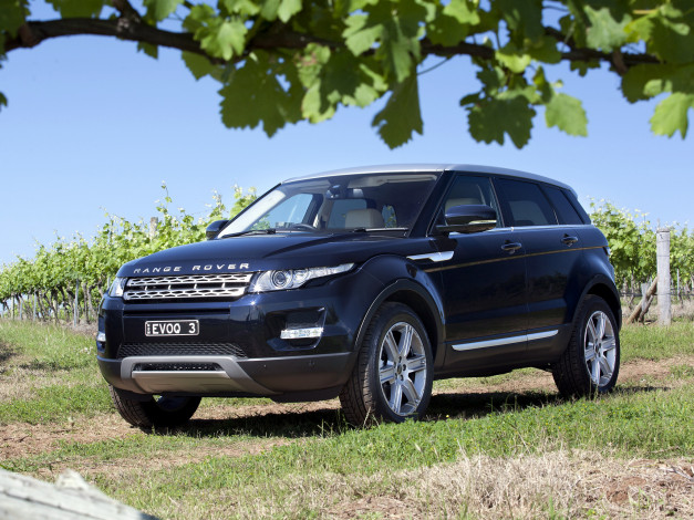 Обои картинки фото автомобили, land, rover