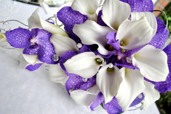 Картинка цветы букеты композиции каллы орхидеи
