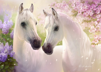 Картинка рисованные животные +лошади кони пара белые цветы сирень вишня лепестки весна