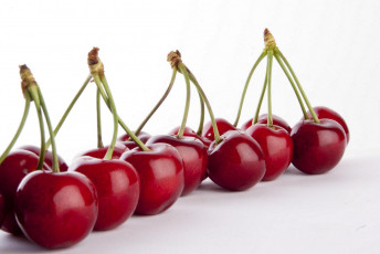 Картинка еда вишня +черешня вишни в ряд белый фон ягоды