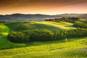 Картинка природа поля тоскана закат лето сельская местность пейзаж деревья небо красивые