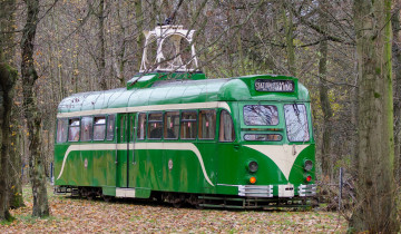 Картинка техника трамваи трамвай опушка лес