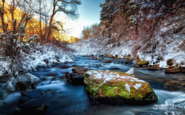 Картинка природа реки озера река камни деревья зима