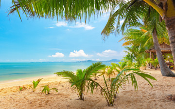 Картинка природа тропики маэнам таиланд самуи тропический пляж облака небо песок море пейзаж